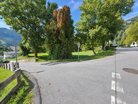 Baugrundstück in Gaimberg, Bild 3 von 10