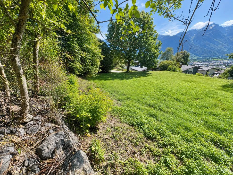 Baugrundstück in Gaimberg, Bild 10 von 10