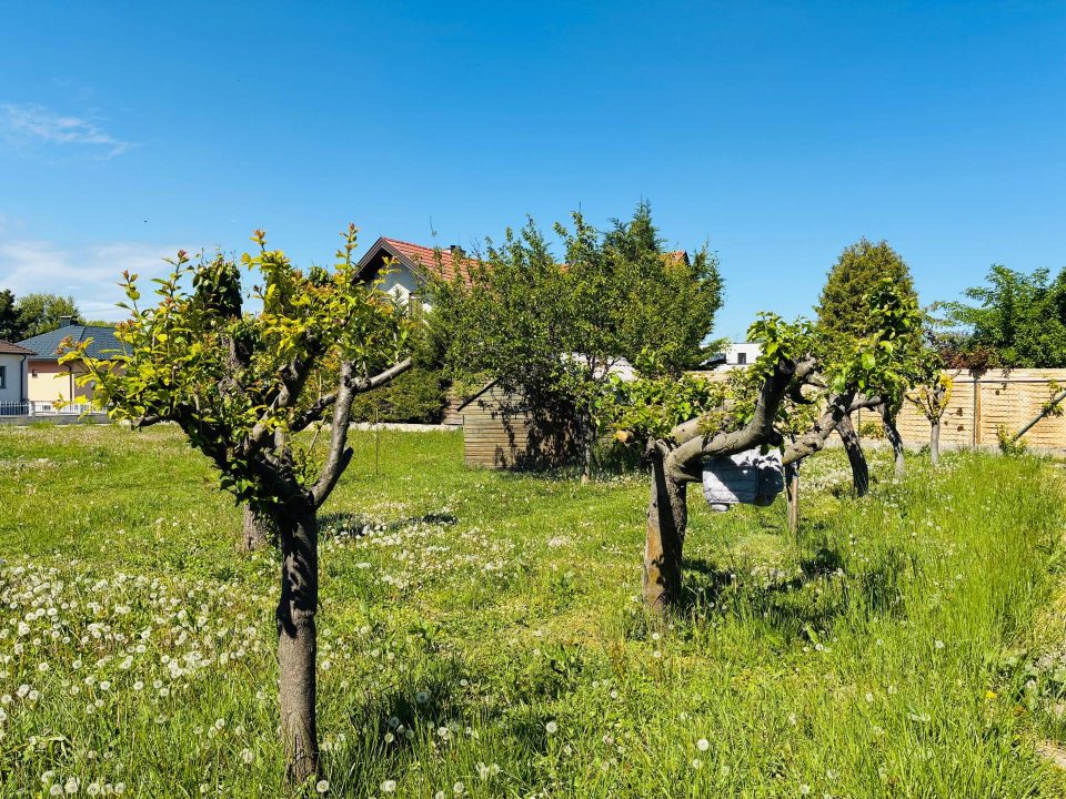 Top Baugrundstück in bester Wohngegend und Seenähe in Weiden am See, Bild 9 von 16