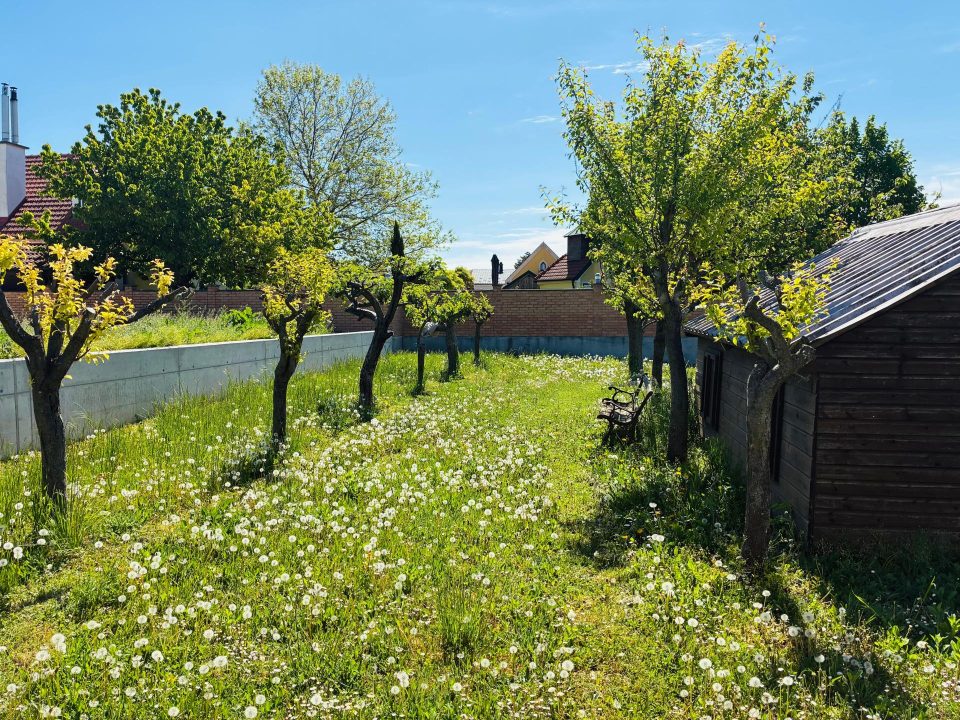 Top Baugrundstück in bester Wohngegend und Seenähe in Weiden am See, Bild 14 von 16