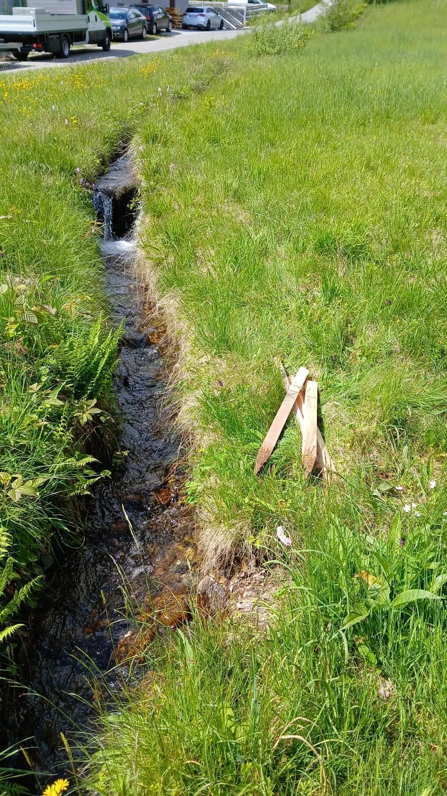 Landwirtschaftliche Nutzfläche im Böhmerwald, Bild 7 von 8