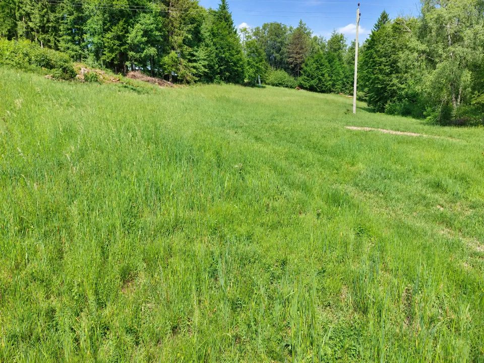 Landwirtschaftliche Fläche in Schwarzenberg