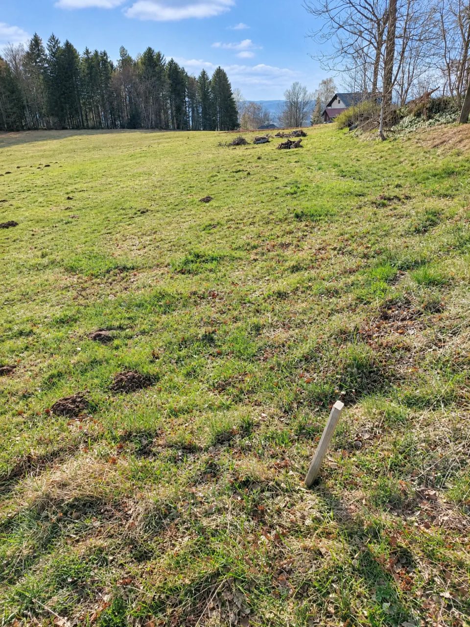 Landwirtschaftliche Fläche in Schwarzenberg, Bild 4 von 8