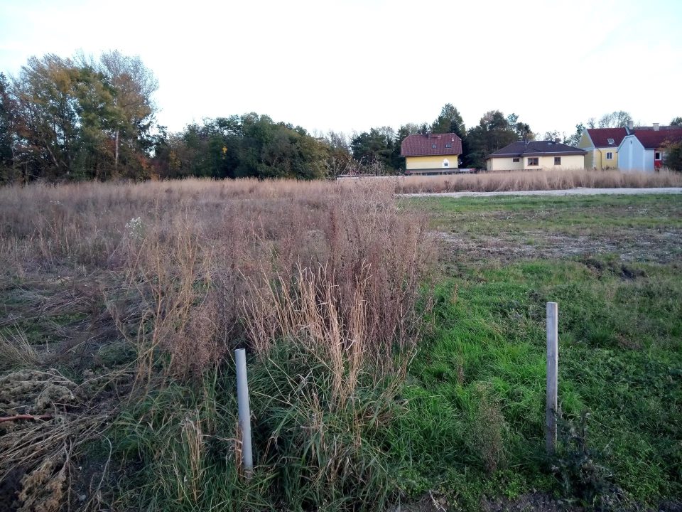 Ebener, aufgeschlossener Baugrund am Ortsrand – 20 Min. nach Wien, Bild 3 von 7