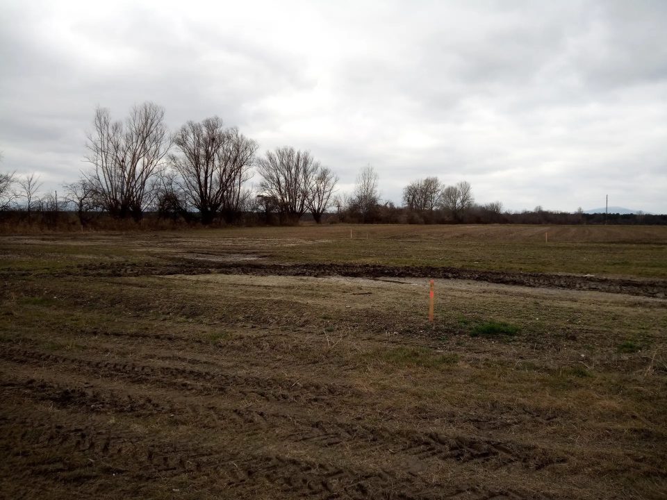 Ebener, aufgeschlossener Baugrund am Ortsrand – 20 Min. nach Wien, Bild 4 von 7