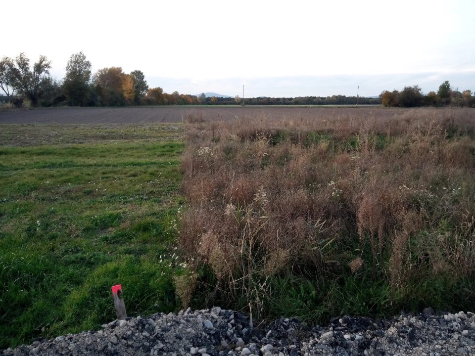 Ebener, aufgeschlossener Baugrund am Ortsrand – 20 Min. nach Wien, Bild 5 von 7