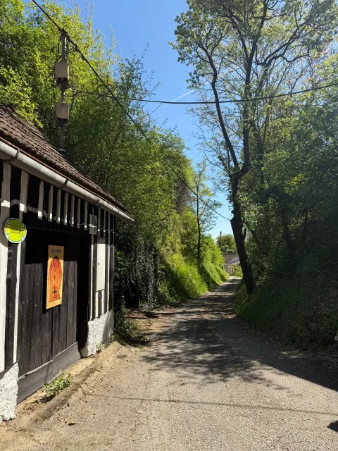 Immobilie in Wagram, Bild 10 von 11