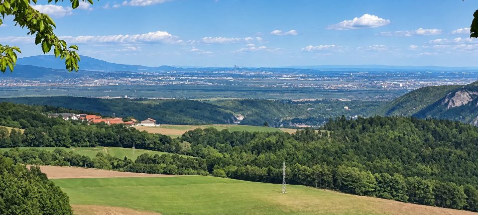 Baugrundstück in Grimmenstein, Bild 8 von 19