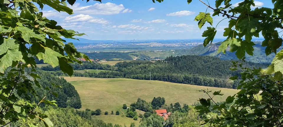 Baugrundstück in Grimmenstein, Bild 9 von 19